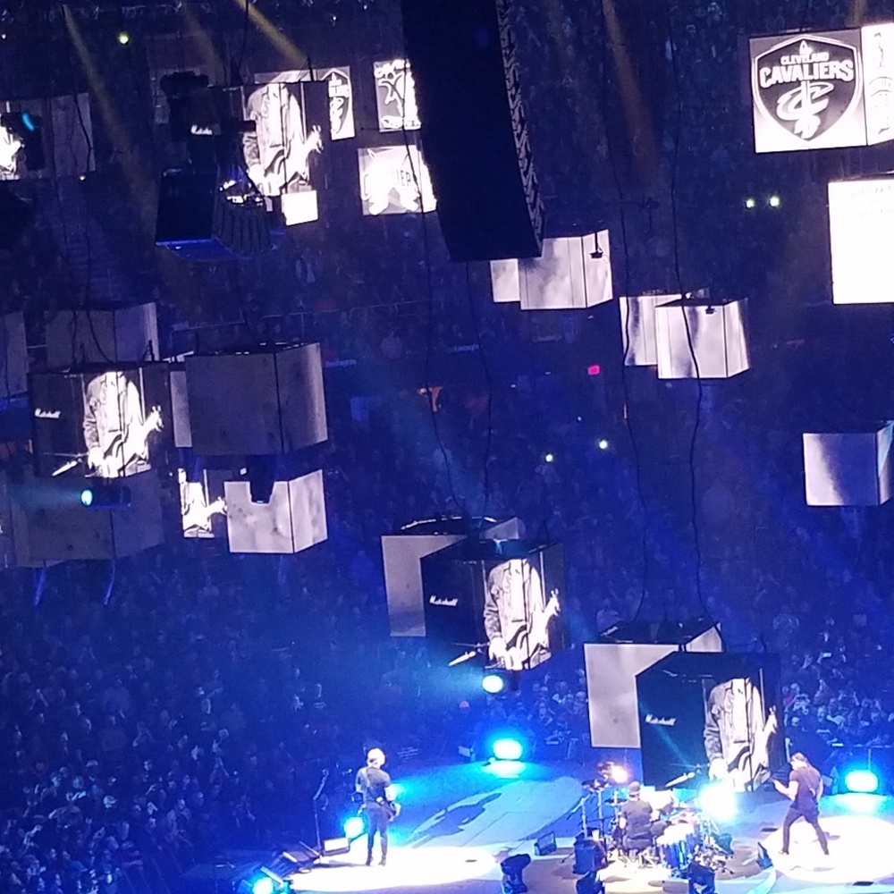 Meet your Posher, Holly